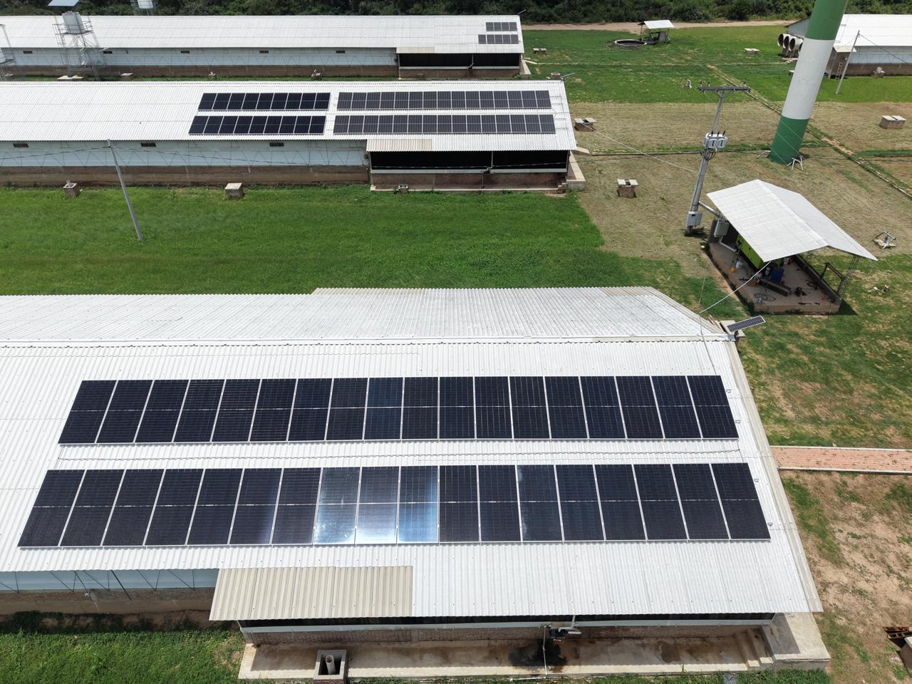 Paneles solares para granjas