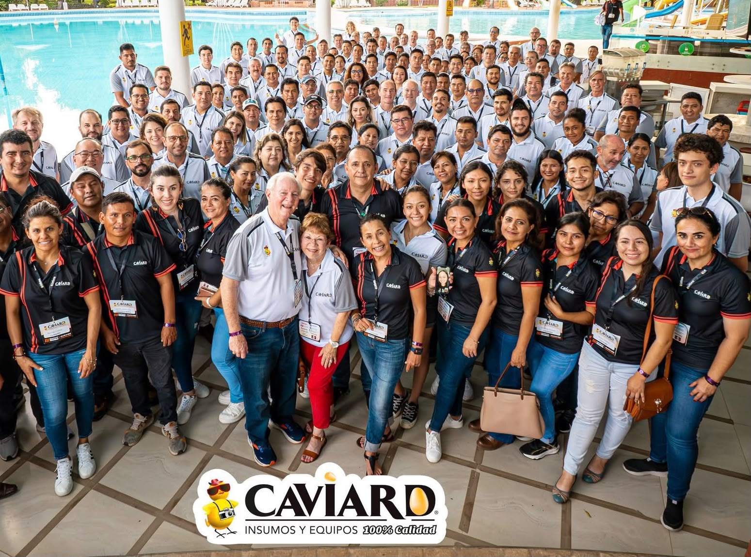 Asesoramiento técnico veterinario — Caviard